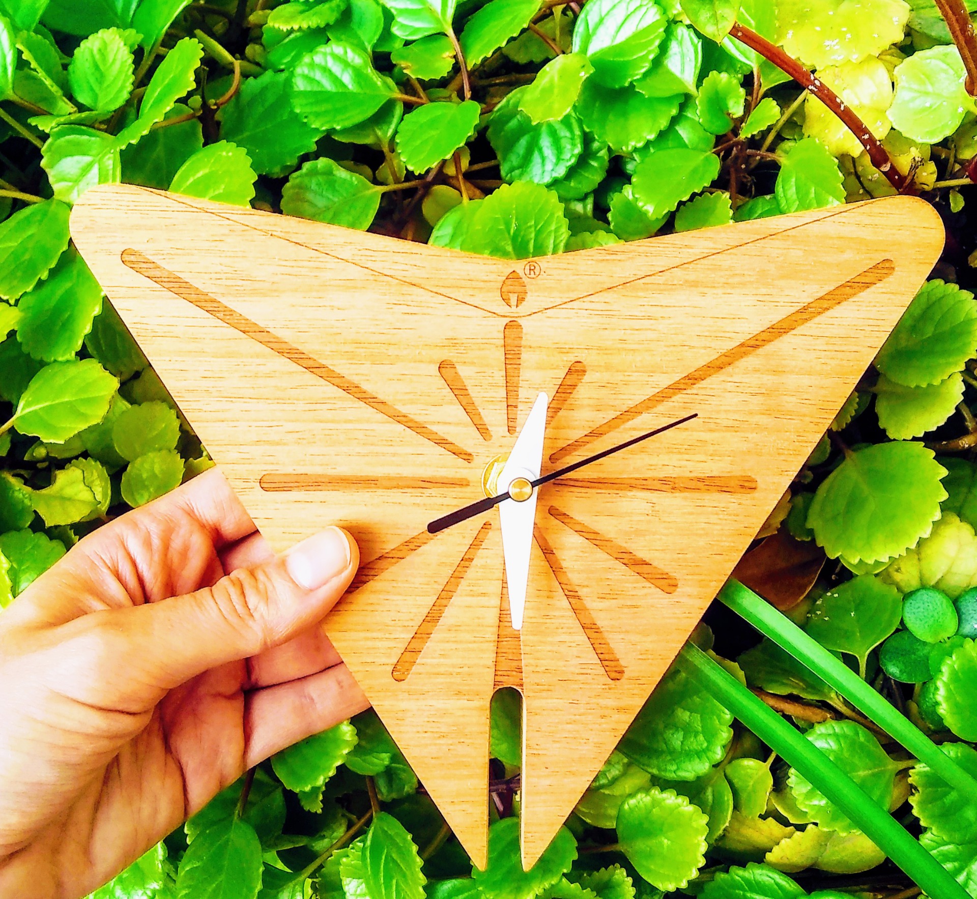 Oji wall clock designed by Luciana Andrea Sessa