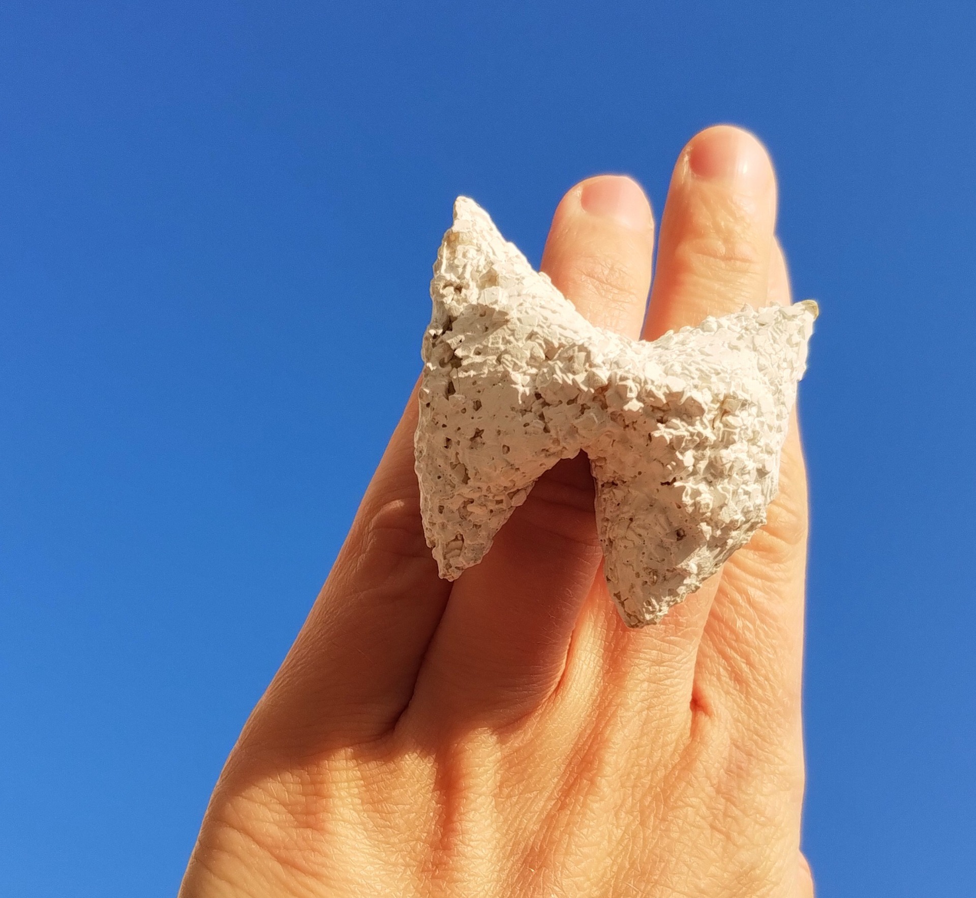 Butterfly bio-ceramic ring designed by Luciana Andrea Sessa