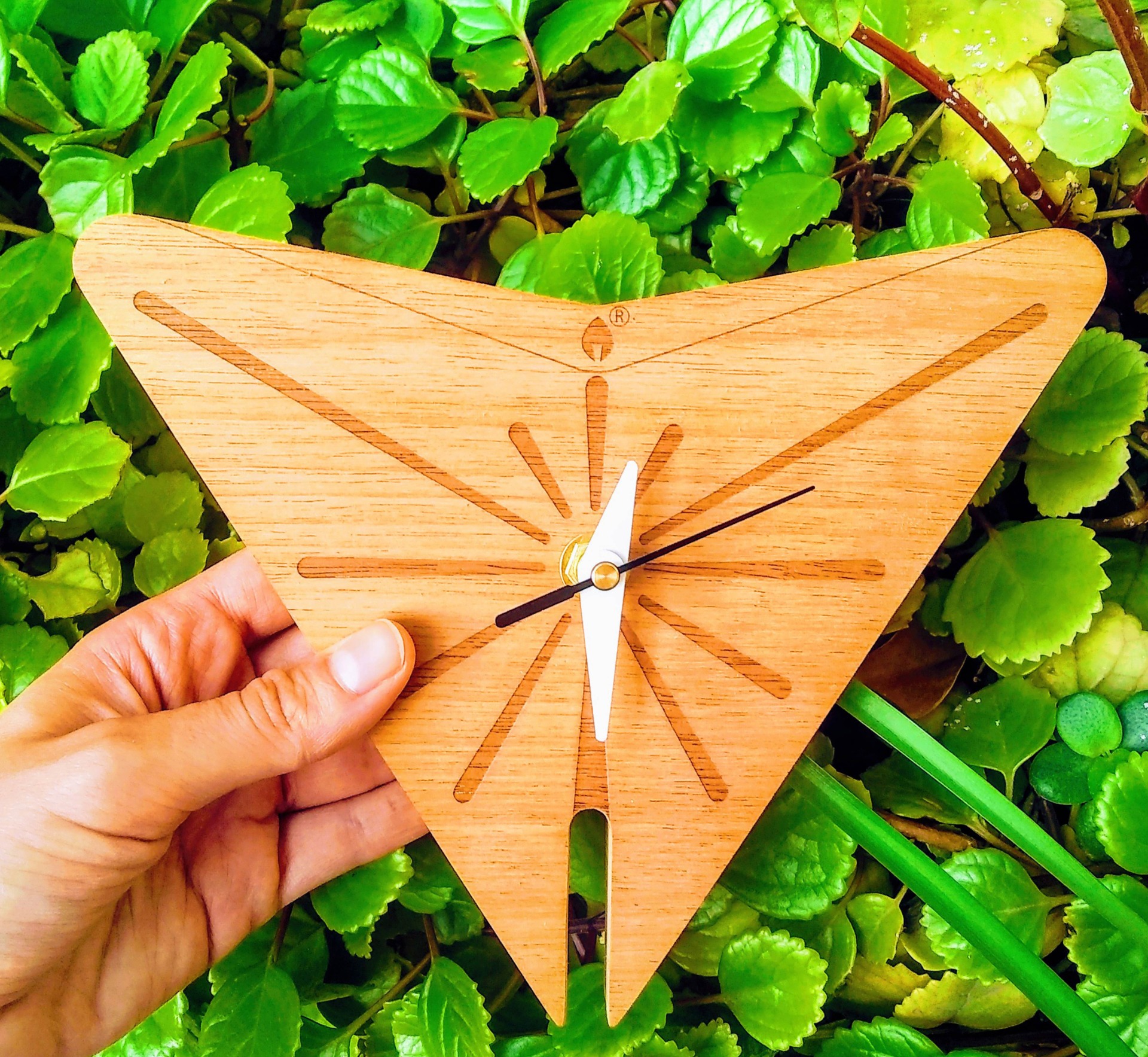 Oji wall clock designed by Luciana Andrea Sessa